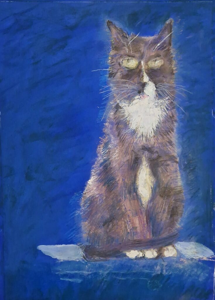 Любимый кот